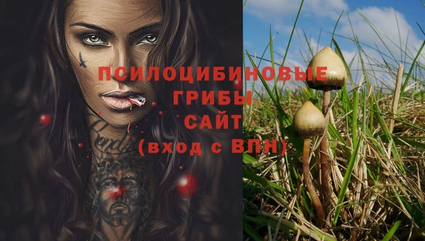 бутират Приозерск