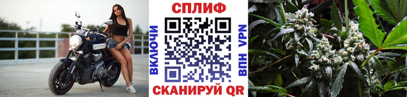 Бошки марихуана AK-47  даркнет сайт  маркетплейс наркотические препараты  Краснодар 